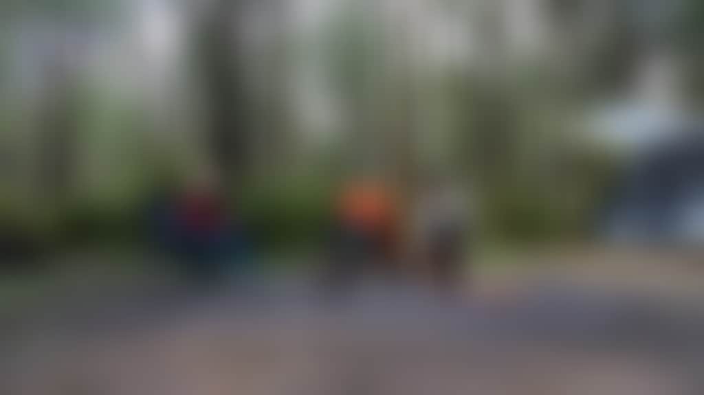 6B3D6Ab205A5A6C47Faa459219E07025