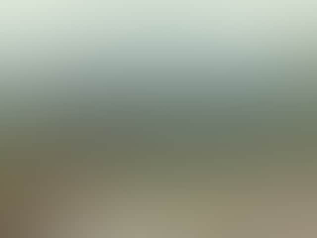 E425Fd062F1Dd3Ca2E55B8466D7E2212