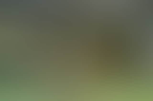 Bfbbe66213Db7Ff4A12C78Eb9B957A10