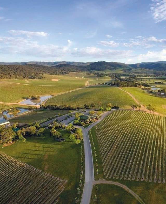 yarravalley dandenongranges