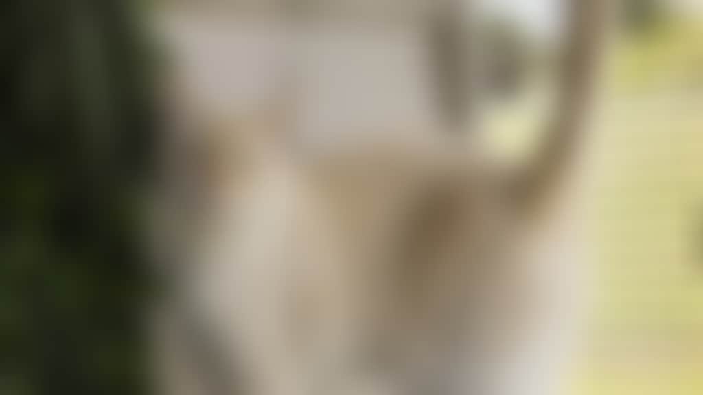 0D275619C44A5F873A29D101B1Ebfbfe
