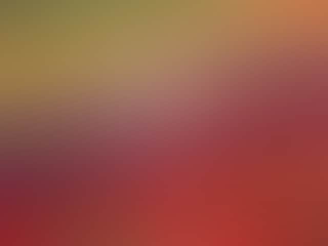 B79B6Eef5A42B5512F8Bd4Df8Ffa9Aff