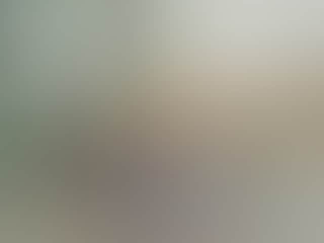 0C276Afca3D1Dc168Bac95E0Fa062956
