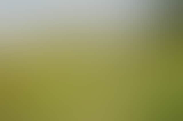 1D6C80Ffe0A82717Dff450Ed0750D16B