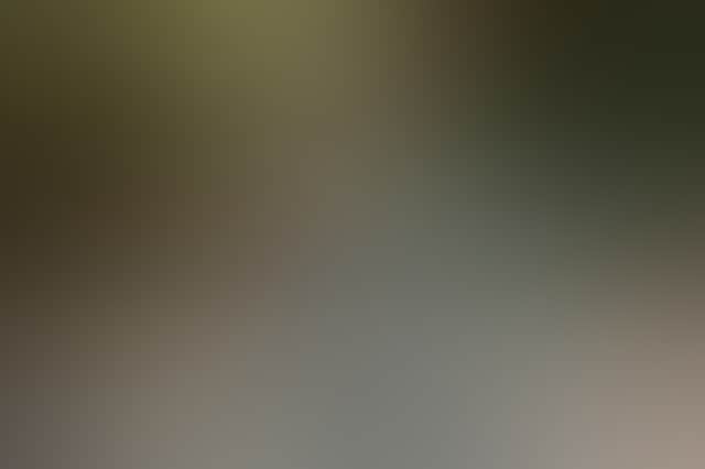 52Cbc080626D0Ff3Ab8E8F6B0577D0A2