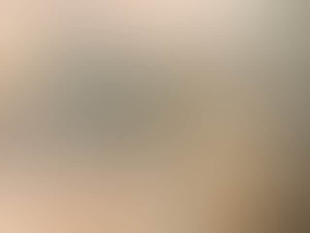 9732Ef66C6E33412A2Eb6C7E15C19Cf1