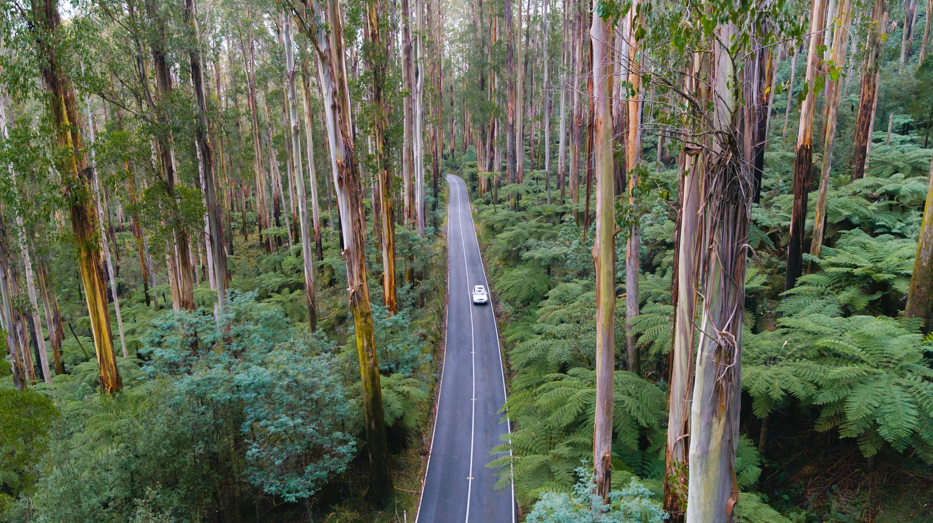 2022 The Black Spur We Are Explorers 01