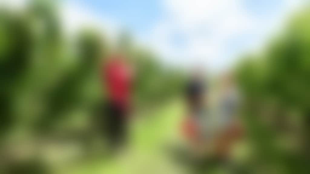 3Ca0A1492B03Bc7E380Dc60A1327F2Ca