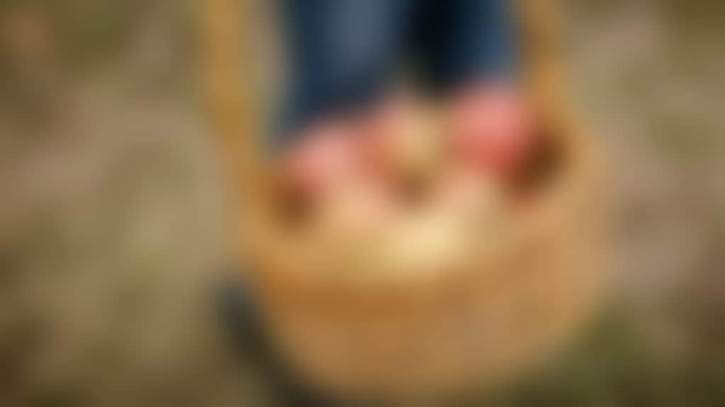 D3C8C410D67B1044Af65225604Fb299C