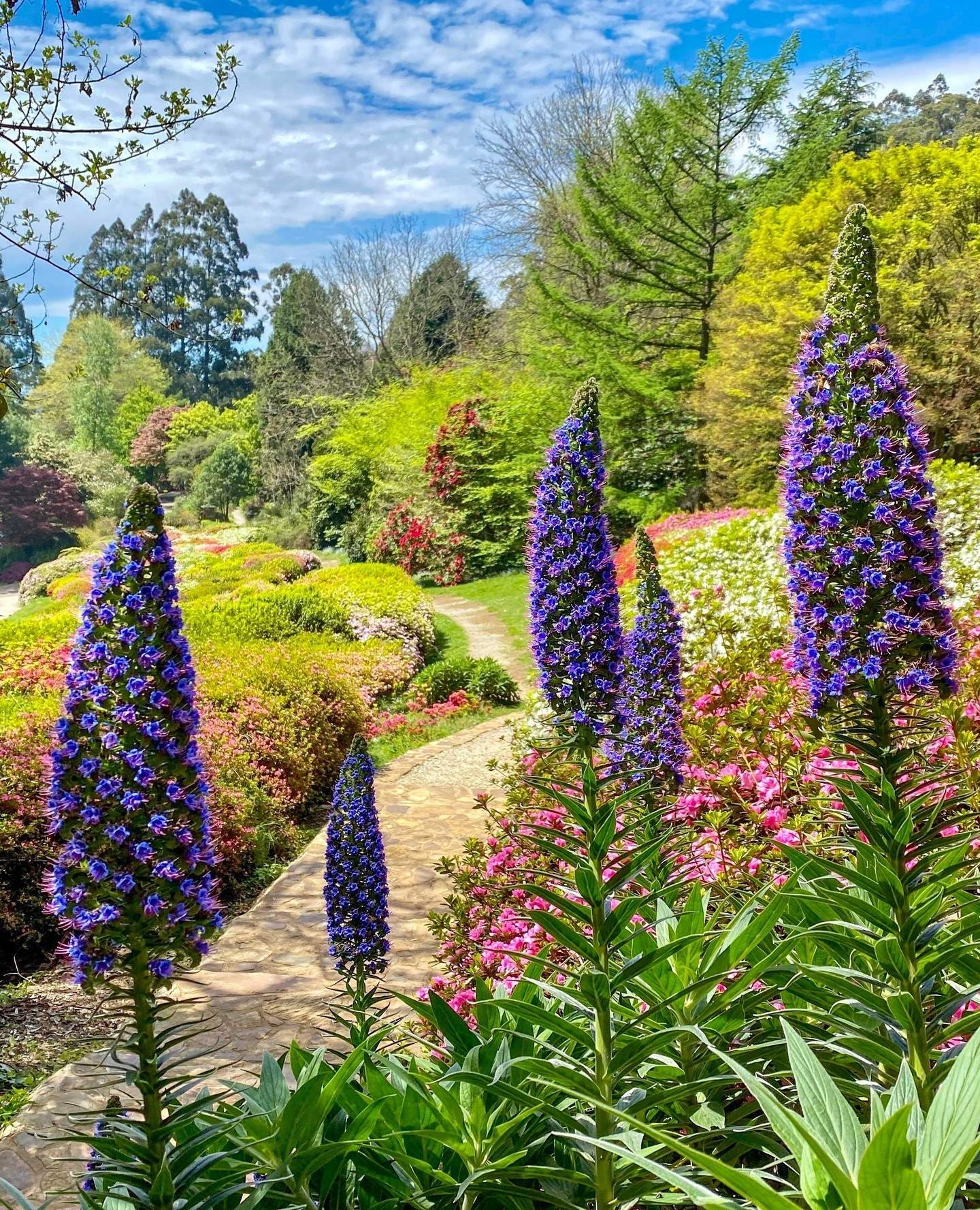yarravalley dandenongranges