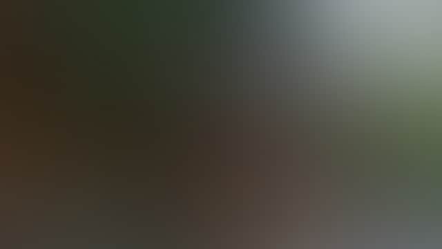 B4E9071634793041842075A2Cd9D810A
