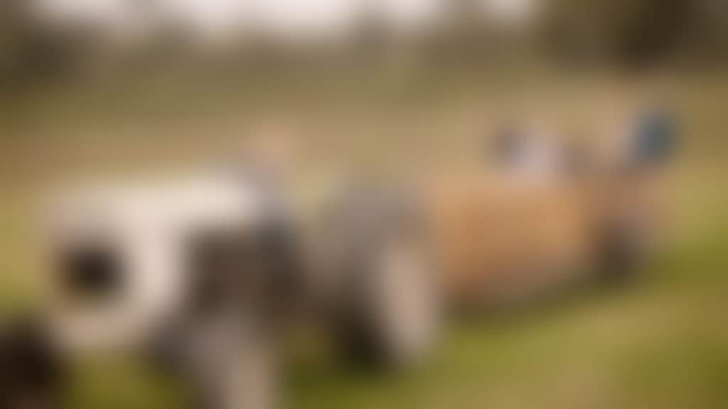 F67A7601D007Dca9F11B19Fbed0574Ba