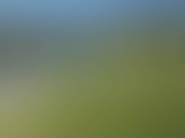 01F46620407153D5Cb2Ebd261Dae4Eb3