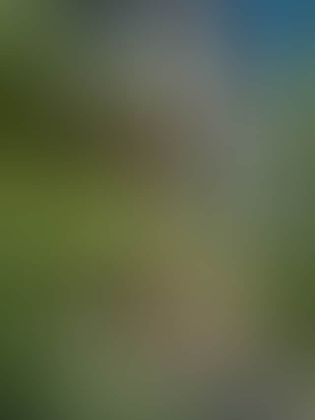 6250C8C8B02611E97A3557Fa5C530Bdf