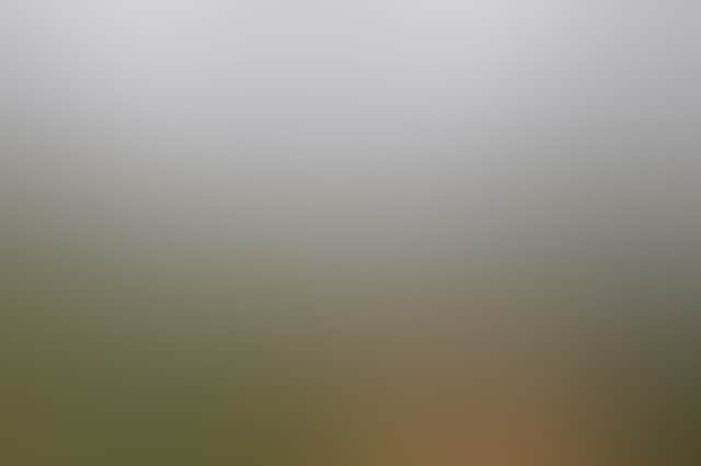 D84525A47E7B8Bdbbfa374Bd51E5E690