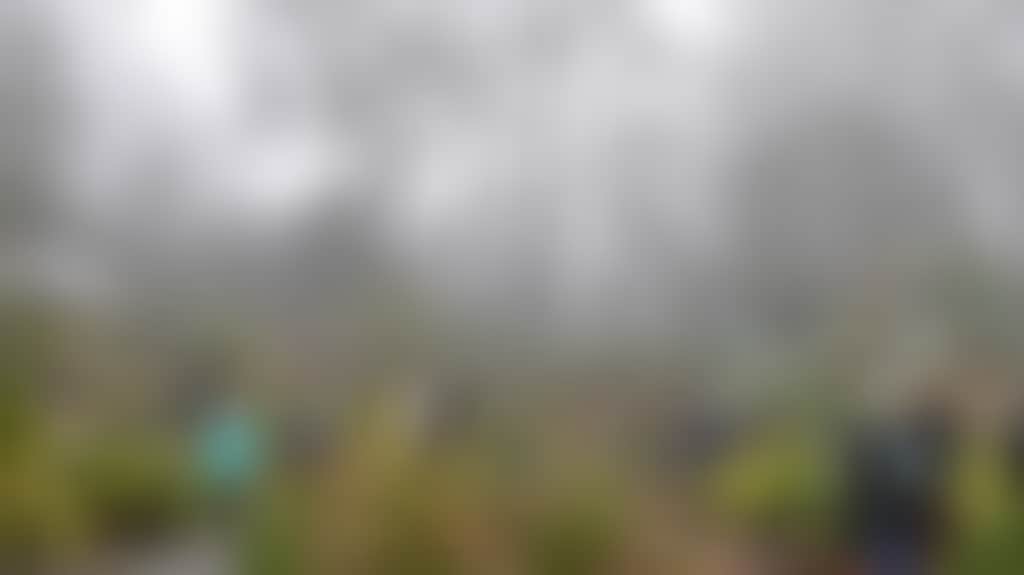 D84525A47E7B8Bdbbfa374Bd51E5E690