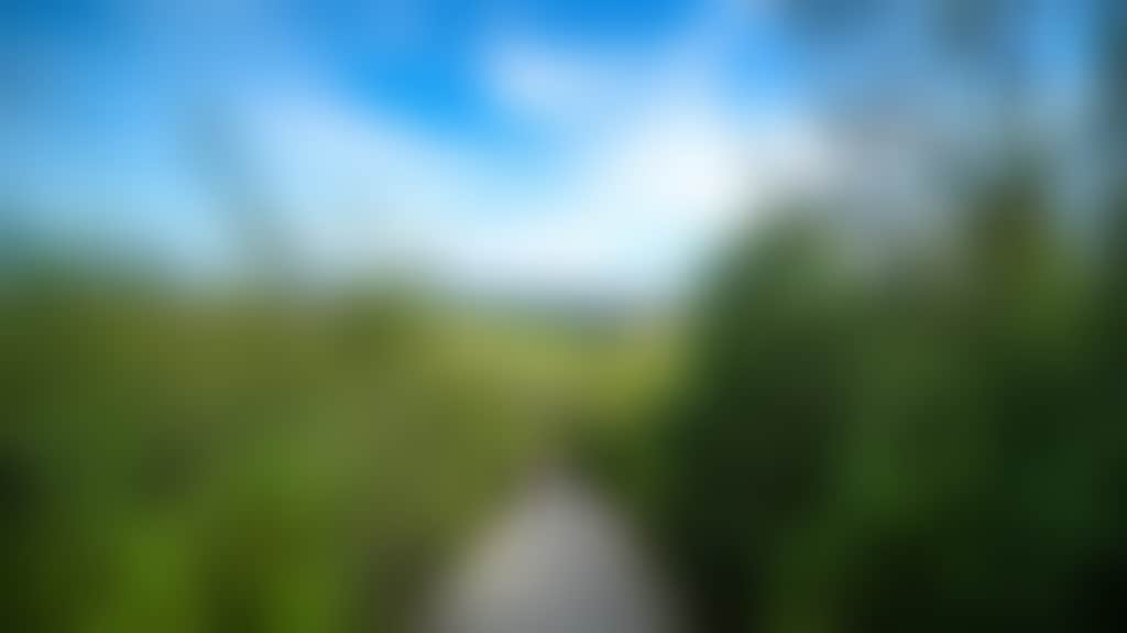25D83D6B894D0F967E01F0Fc25A65B29