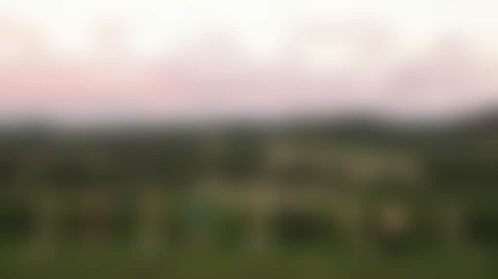 5C8F7D91871B3Be4A7B1F0816B8B2145