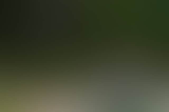 8673Df6B65873745C66619282D1A7F0E