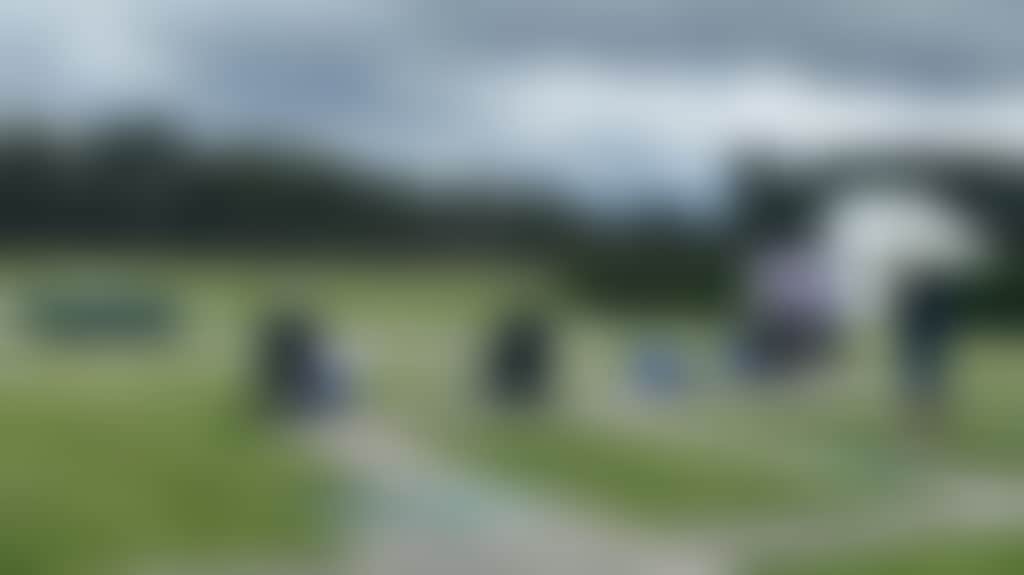 Para