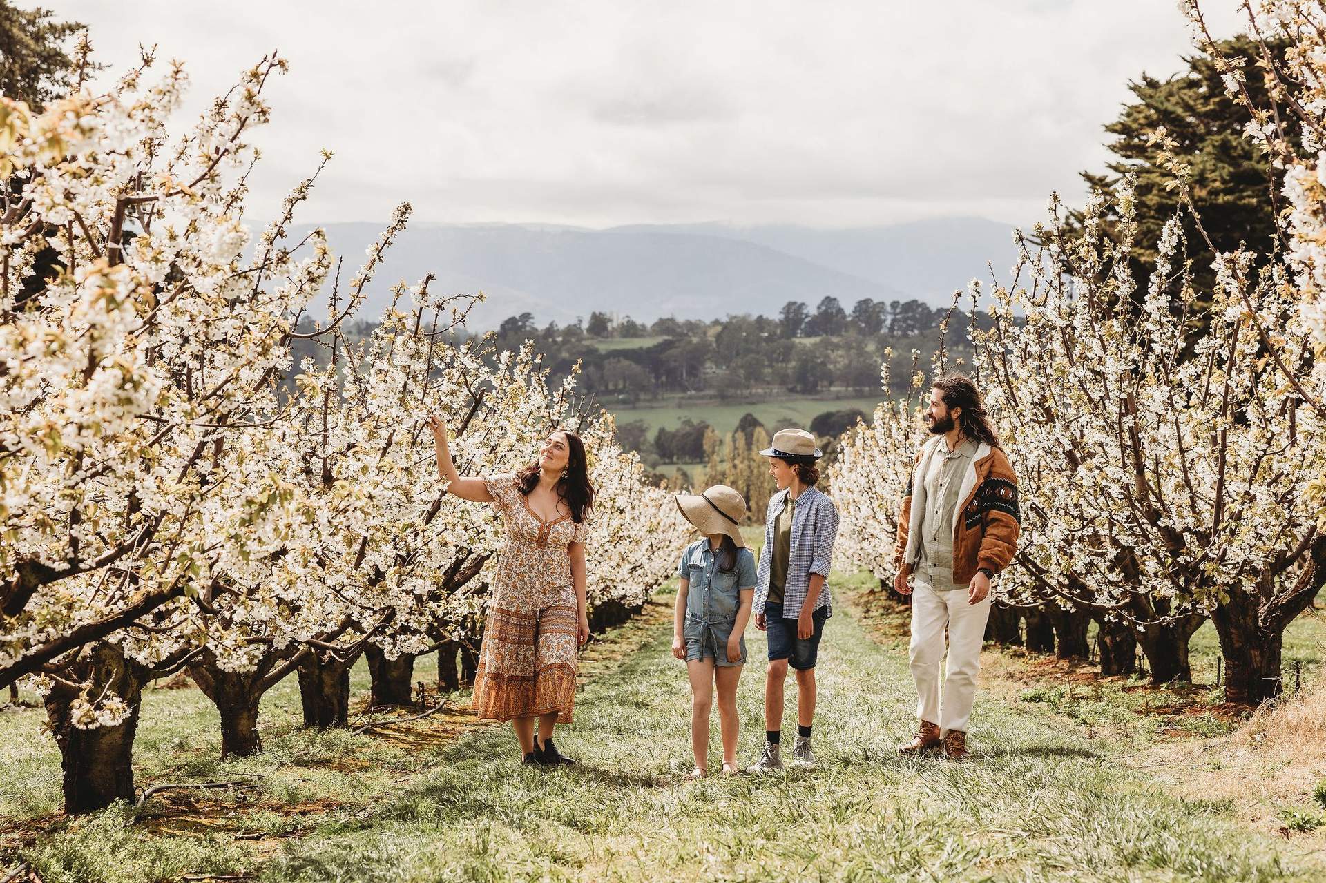 Family blossoms hills