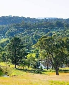 yarravalley dandenongranges