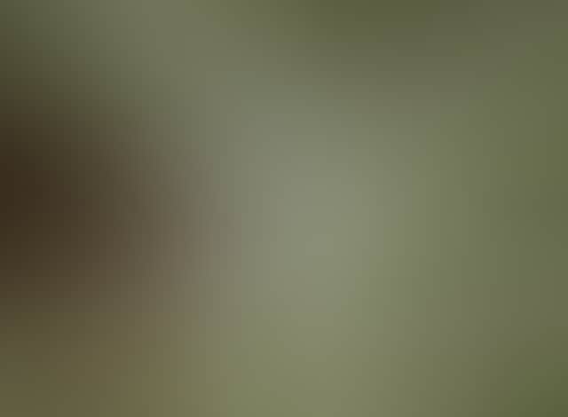655E4Ea2Ba0636D582A6412C59F121C1