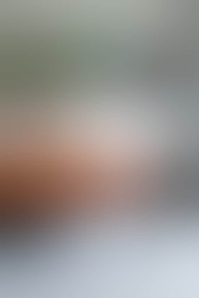 4C4333Ec5Cf38D5A84D5Aa2Dd536A616