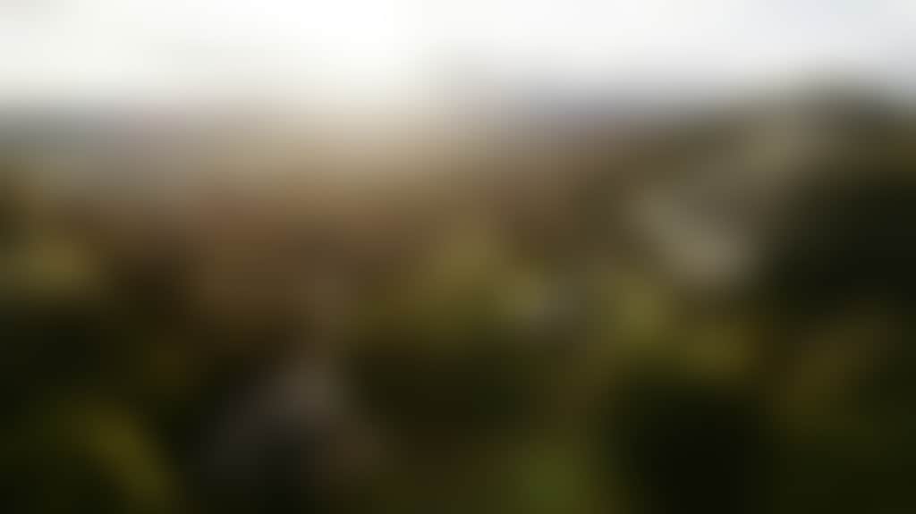 C07B0521E2564F21E3838C98D786518A