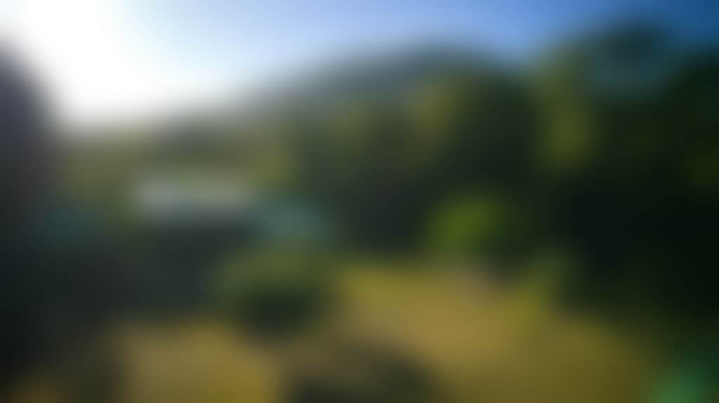 4A2529D33Ae9834001De0902A09C430E