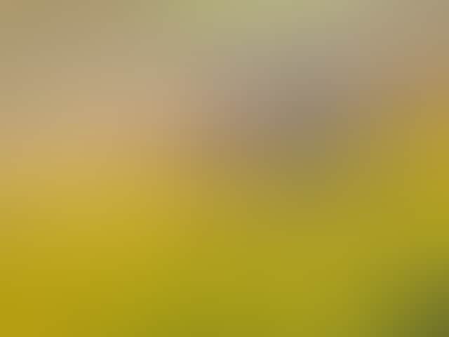 E9251F30931C97A7726B9Ea1F27F7Abc