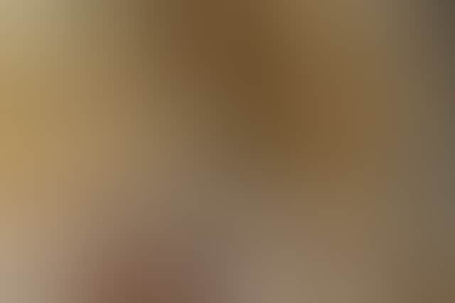 A799B205Ee359A3D3C917D6603902D97