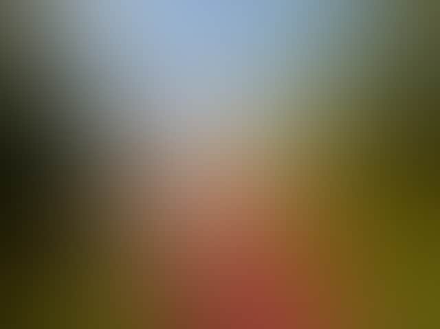 833215Cbc29F7092189A3593823E383B