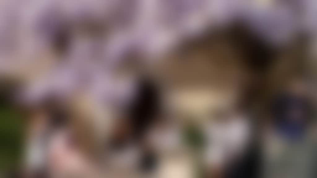 7C0021F24B4Ff5177D7B3Bcd14C1Fb3C