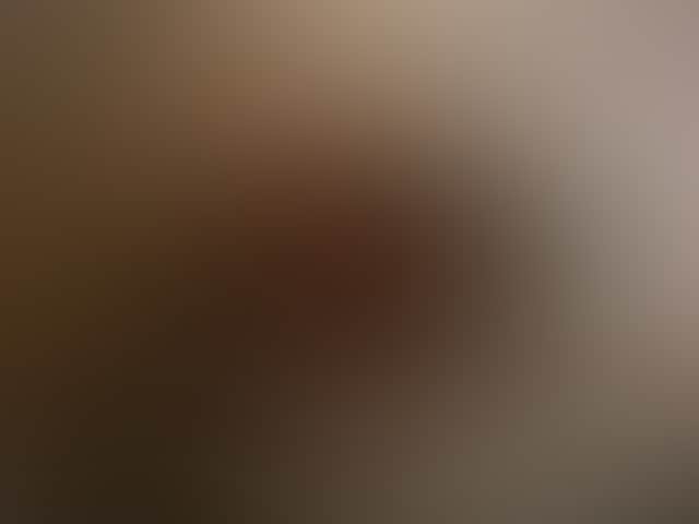 7Fee11Aef6C58Db359Dbca27Af113966