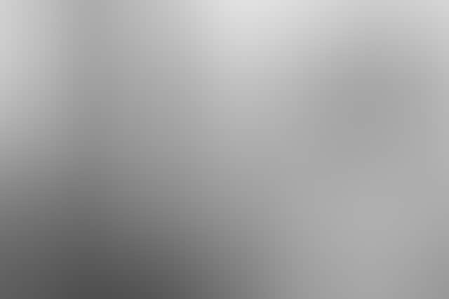 F8E5A13Ade32A58D7Edfe69C9Ef20B00