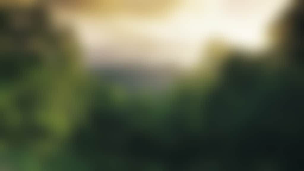 38C21C2606F5D2Ab075E41D9B4995C34