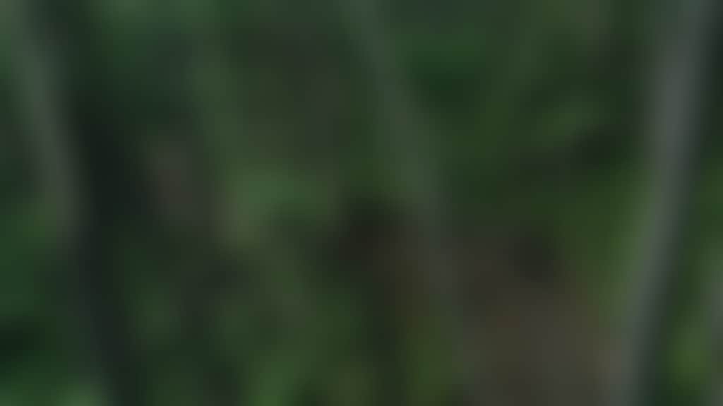 08C6F2601836B31C98F8853E90Dd1Beb