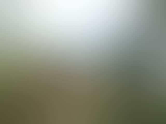 B5D3748D3D1A20B034E94Cd3F6B143E8