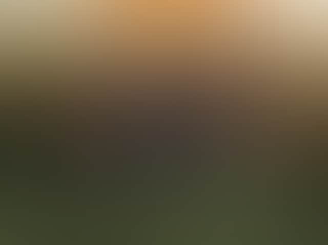 B6D6Bb0F02Bc8D1F187B8792B66691D5