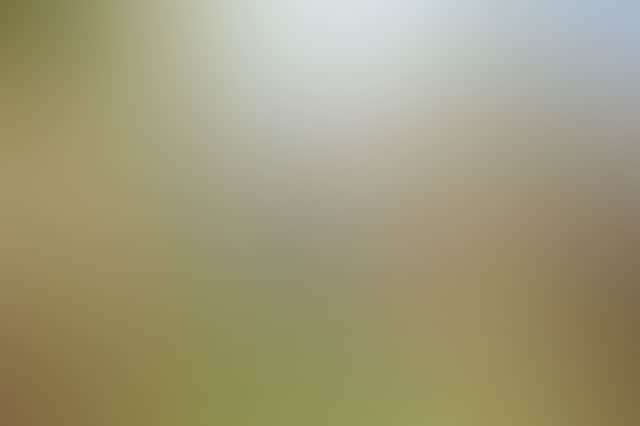 3556B399061A959Fffd48B9831284E8A