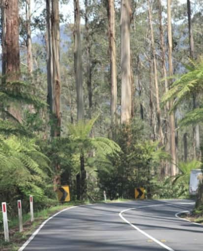 yarravalley dandenongranges