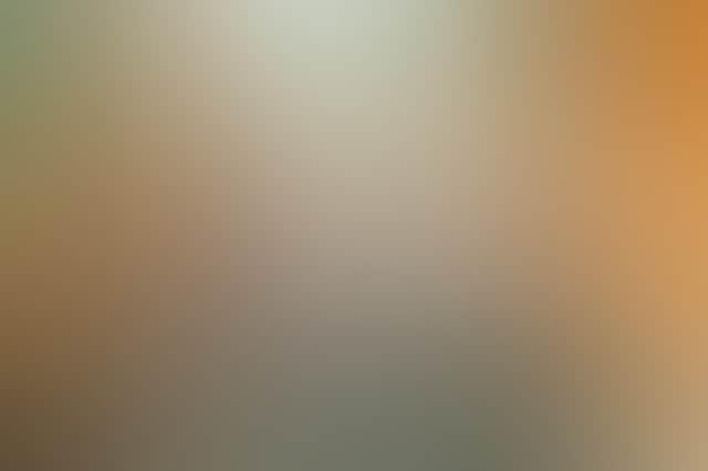 D48574D00A160319B0D9D8188C77C4Bd