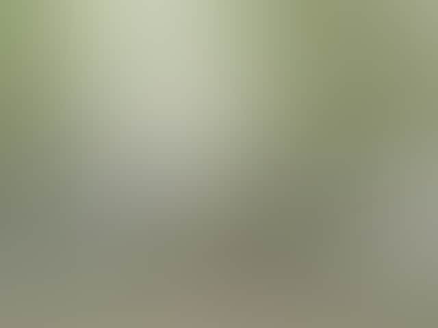 3Dac24B1589116B84500Ea6C3Ec29Af1