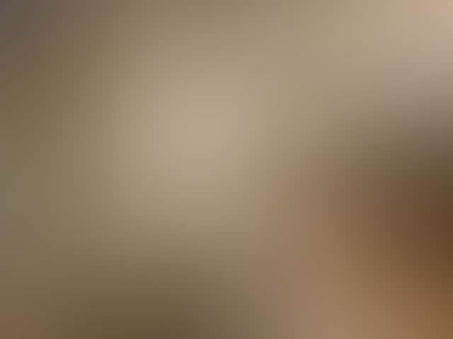 1B39E4A621E7Eb75Bafb95E46261980B