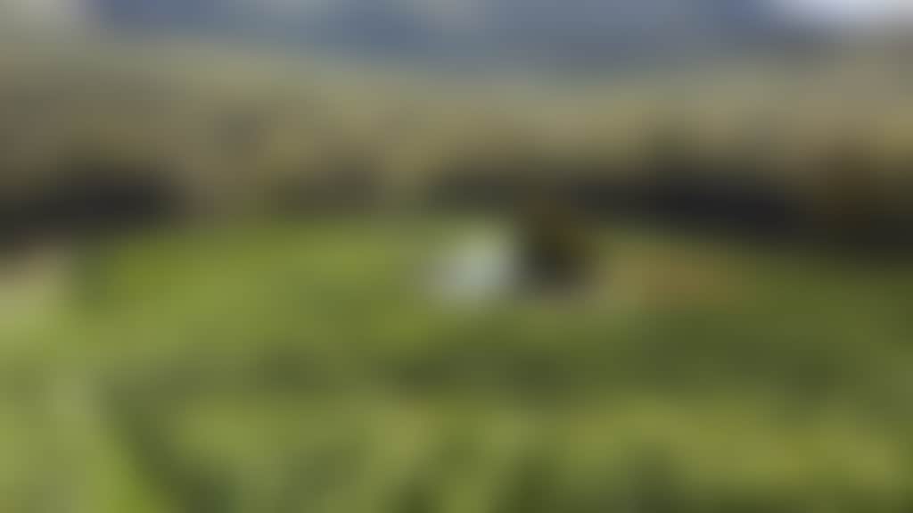 78C37C992093079848D8D0739Ca27928_3T1Mzp5