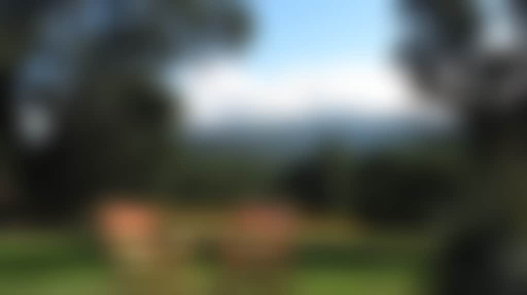B027E7Eb8B52C22B04E0Ce3653A29Bb5_04Uocz9