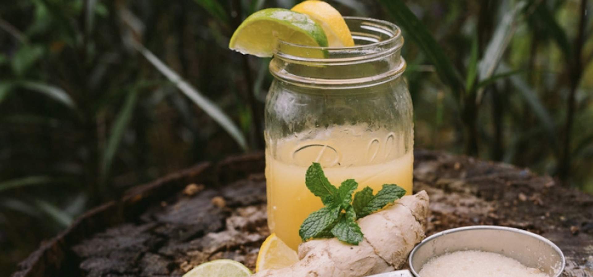 Ginger beer