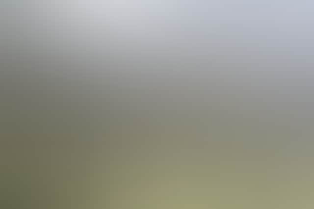9227Cf05Ccebfd0D155A2107E9F01468