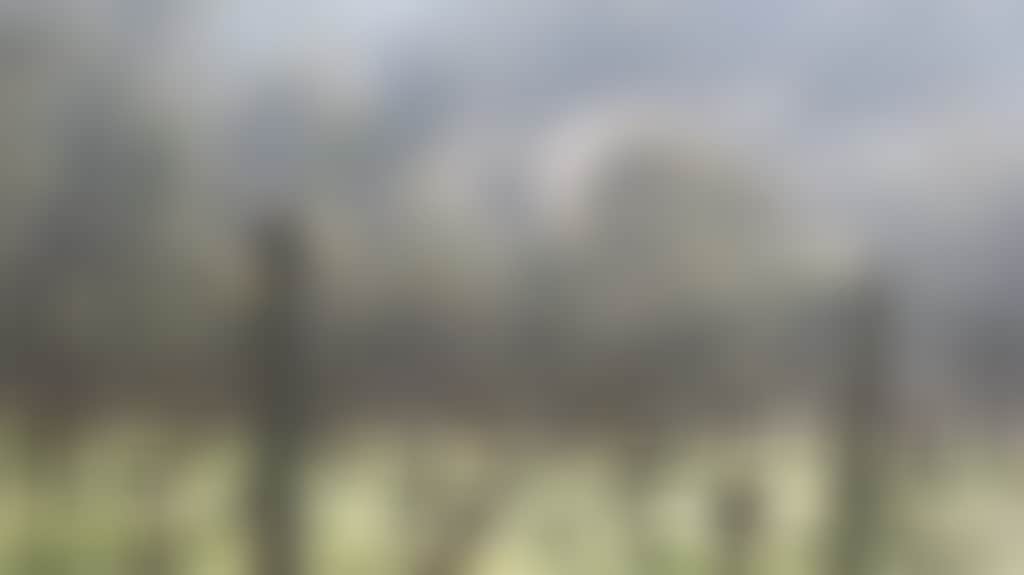 9227Cf05Ccebfd0D155A2107E9F01468